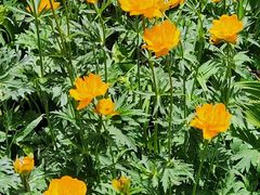 -白草畔自然风景区