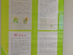-上海市普陀区中心医院