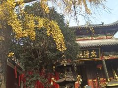 -长春观