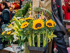 -循礼门鲜花花市(武汉循礼门店)