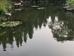 -西湖游船