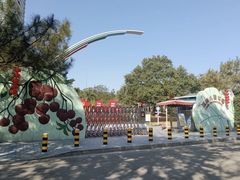 -荔湾区儿童公园