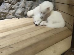 -洛阳龙门海洋馆