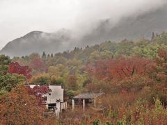 -塔川景区