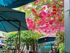 手冲咖啡-豆舞咖啡(民乐路店)