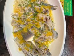 -食德喜·阳山鸡王食研基地