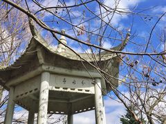 -四明山国家森林公园