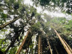 -乌江画廊(彭水苗族土家族自治县)