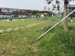 -三圣花乡旅游区