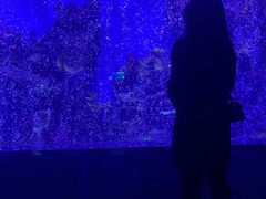 -石家庄海洋公园