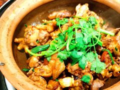 -华仔土鸡店(创意产业园店)