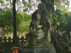 -独树成林