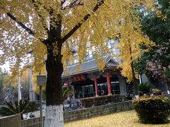 -四川大学(华西校区)