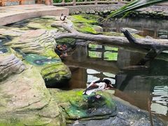 -南宫五洲植物乐园