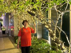 -广州富力丽思卡尔顿酒店·丽轩·粤菜
