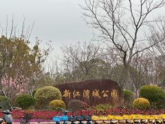 -新江湾城公园