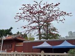 -揭阳学宫(榕城区)