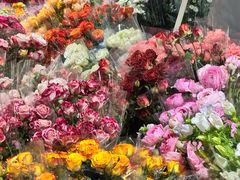 -循礼门鲜花花市(武汉循礼门店)