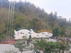 -西双版纳原始森林公园