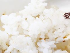 正宗东北大米饭-膳当家黄焖鸡米饭(下沙宝龙店)
