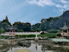 -青龙山国家森林公园