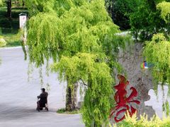 -莱西月湖公园
