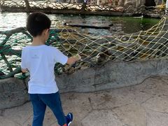 -华夏文旅海洋公园