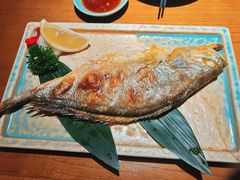 -阿吾罗日本料理(K11艺术中心店)