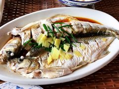 -洞天食府(北大街店)