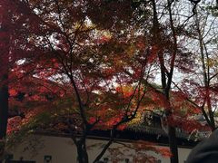 -西园戒幢律寺