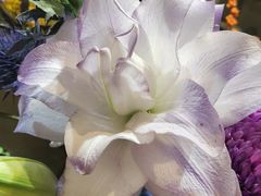 -向花仕Bloomy Life咖啡鲜花(益田假日店)