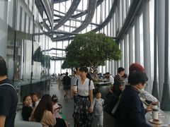 -上海中心大厦