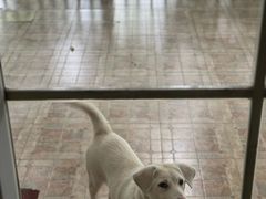 -重庆和泰马术俱乐部