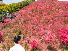 -瑞安圣井山景区