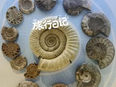 -重庆自然博物馆(新馆)