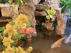 -多哥水傣味餐厅(司马巷店)