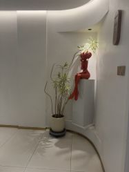 -WENDY·温迪皮肤管理