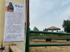 -青藏高原野生动物园