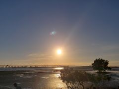 -宝安西湾红树林湿地公园