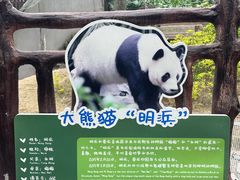 -柳州市动物园