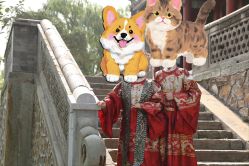 点击看大图 -拾尚映画·STUDIO婚纱摄影(中关村店)