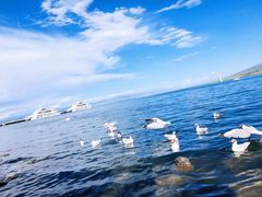 -青海湖国家重点风景名胜区