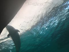 -波塞冬旅游度假区