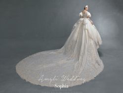 -艾米丽婚纱礼服