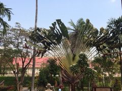 iphone_upload_pic-柬埔寨国家博物馆