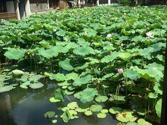 望津里精品酒店-乌镇望津里精品酒店