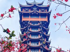 -塔子山公园