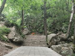 -驼梁风景区