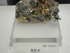 -湖南省地质博物馆