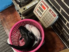 -古城苗家土菜馆(河景餐厅店)